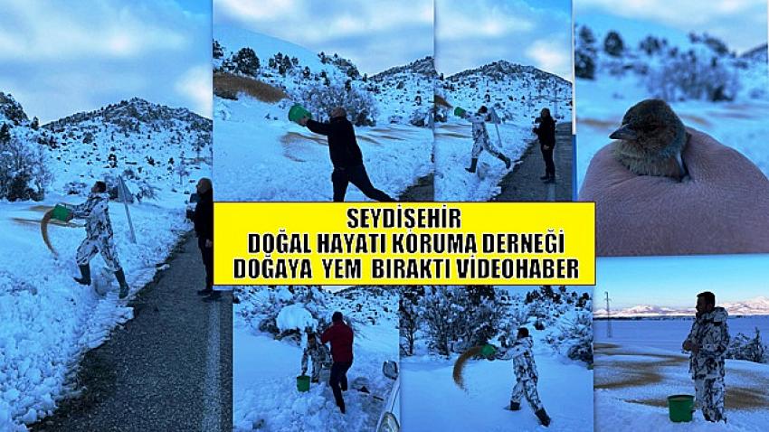 SEYDİŞEHİR DOĞAL HAYATI KORUMA DERNEĞİ DOĞAYA  YEM  BIRAKTI VİDEOHABER