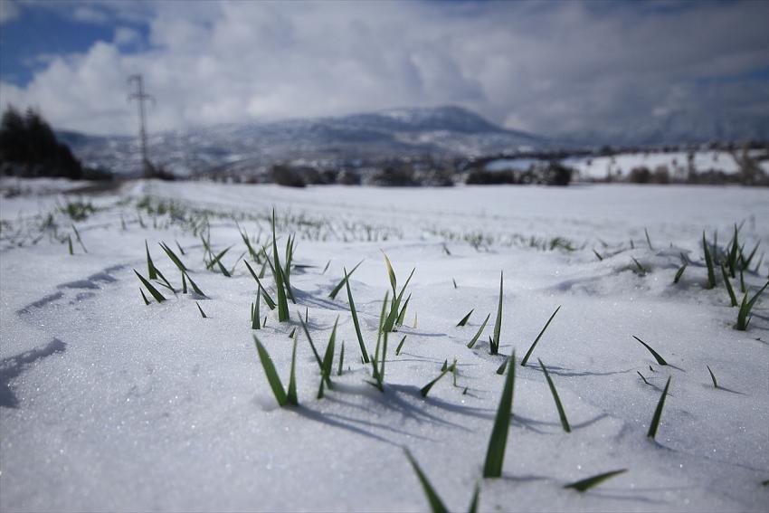 Seydişehir'e 2  gündür  etkili olan yağış çiftçinin yüzünü güldürdü