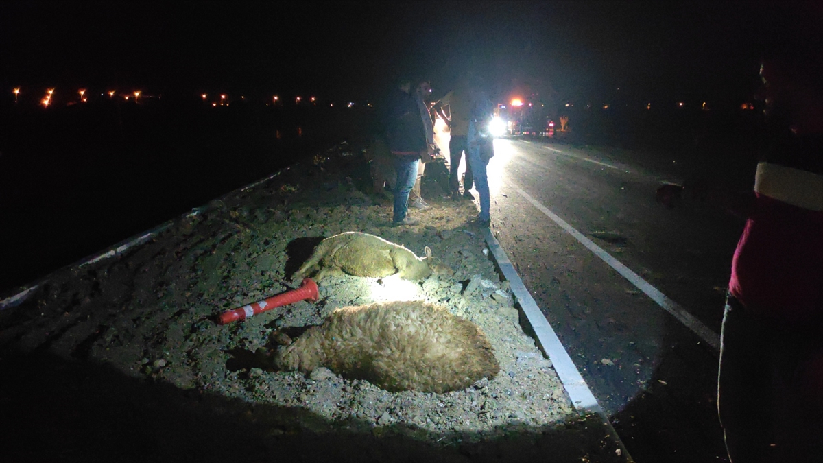 Seydişehir'e Otomobil koyun sürüsüne çarptı