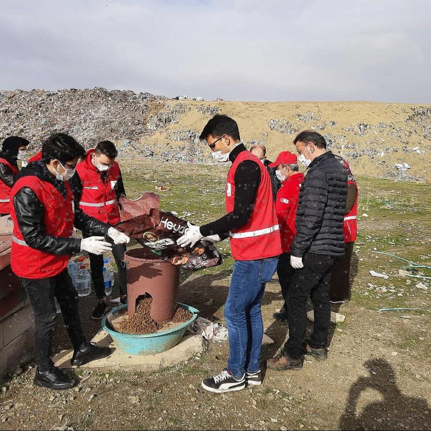 Seydişehir Genç Kızılay gönülleri sokak hayvanlarını unutmuyor
