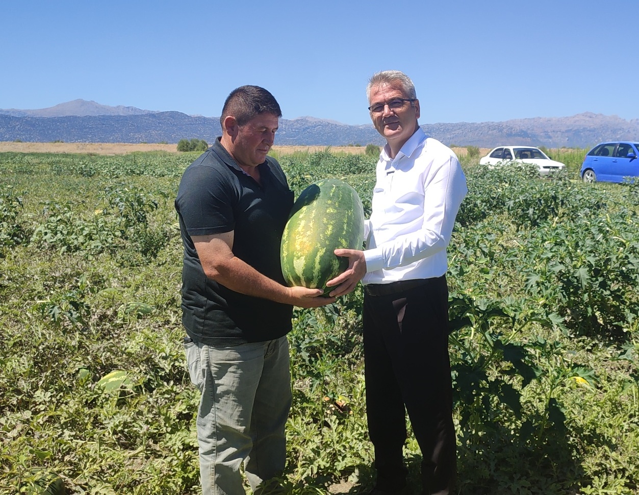 SEYDİŞEHİR KARPUZU COĞRAFİ İŞARET ALDI