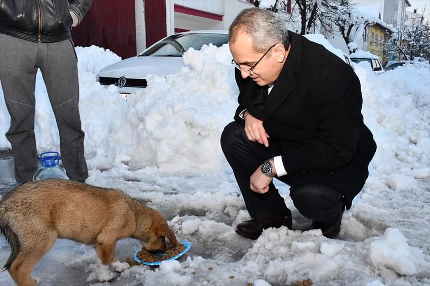 Seydişehir Kaymakamı Pişkin sokak hayvanlarına yem bıraktı