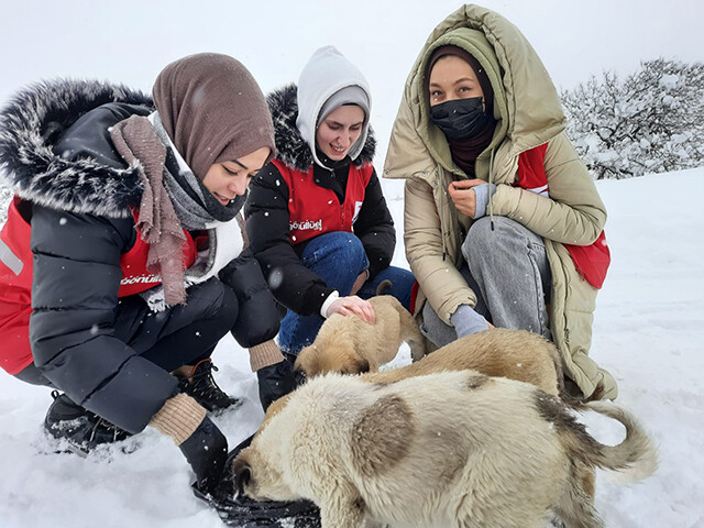 Seydişehir Kızılay gönüllüleri can dostların yanında