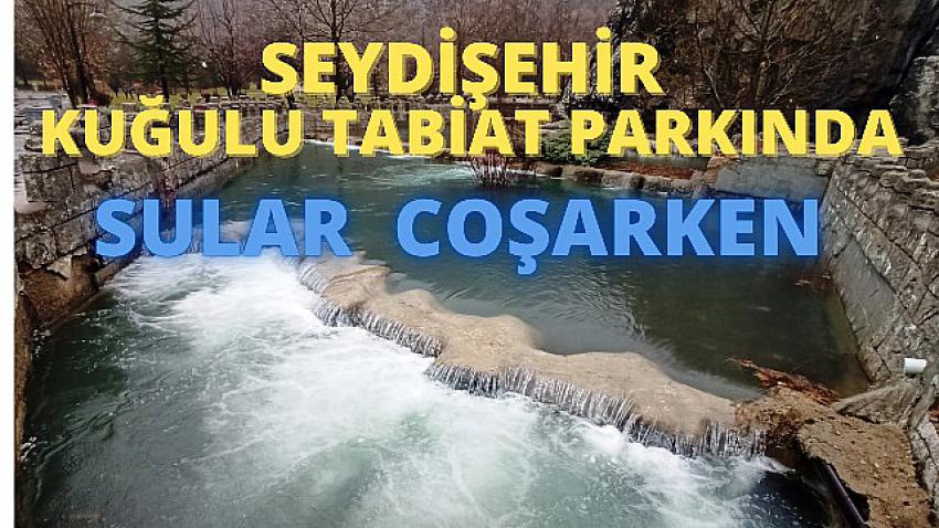 Seydişehir Kuğulu Tabiat Parkında Sular coşarken 