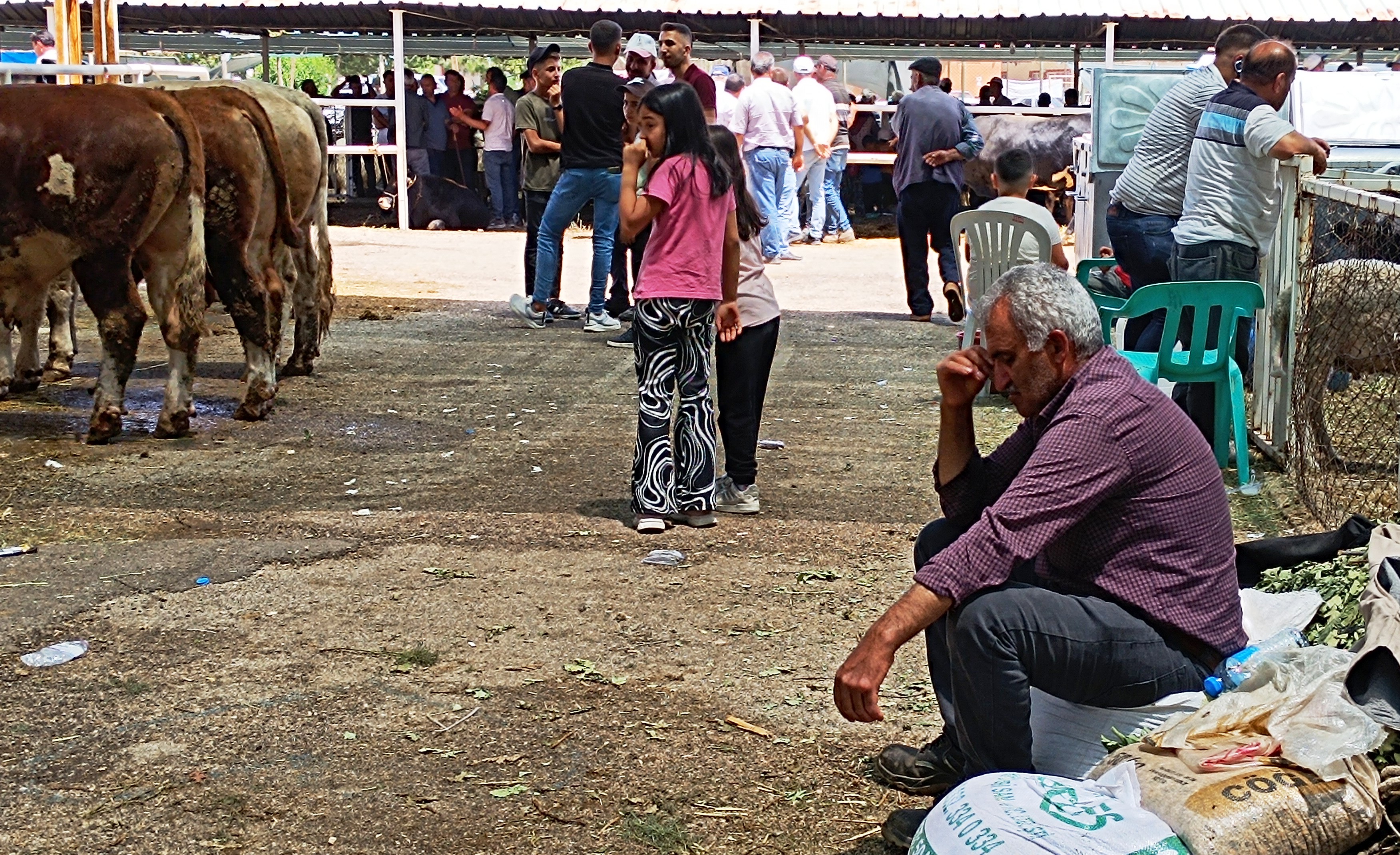 SEYDİŞEHİR KURBAN  PAZARINDAN İNSAN  MANZARALARI VİDEO HABER