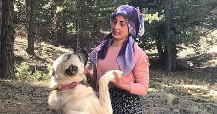 SEYDİŞEHİRDE : ÇOBANLIK YAPARKEN DERS ÇALIŞIP TIP FAKÜLTESİNİ KAZANDI