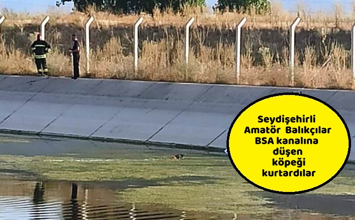 Seydişehirli Amatör  Balıkçılar BSA kanalına  düşen köpeği kurtardılar