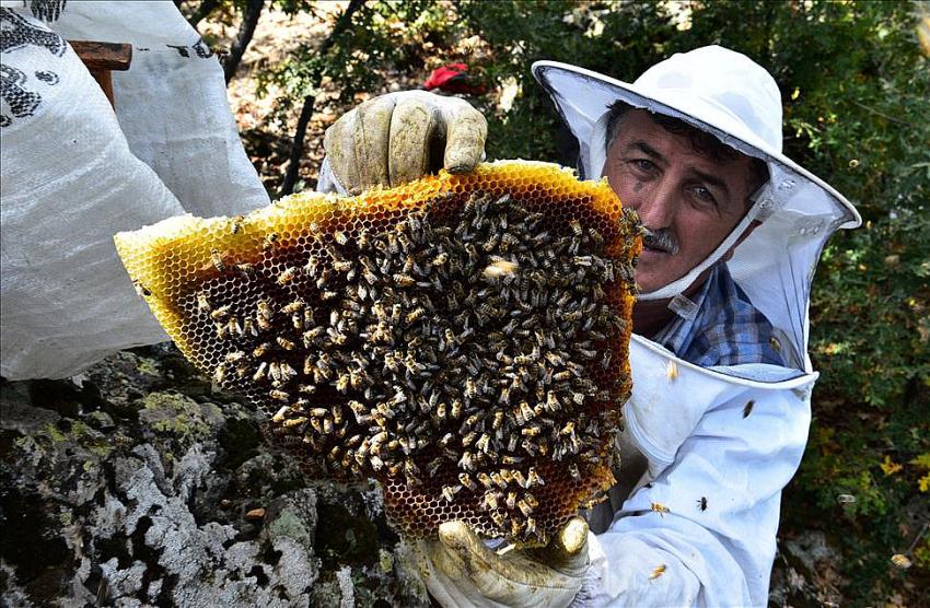 Seydişehirli Balcı TRT Belgeselde 
