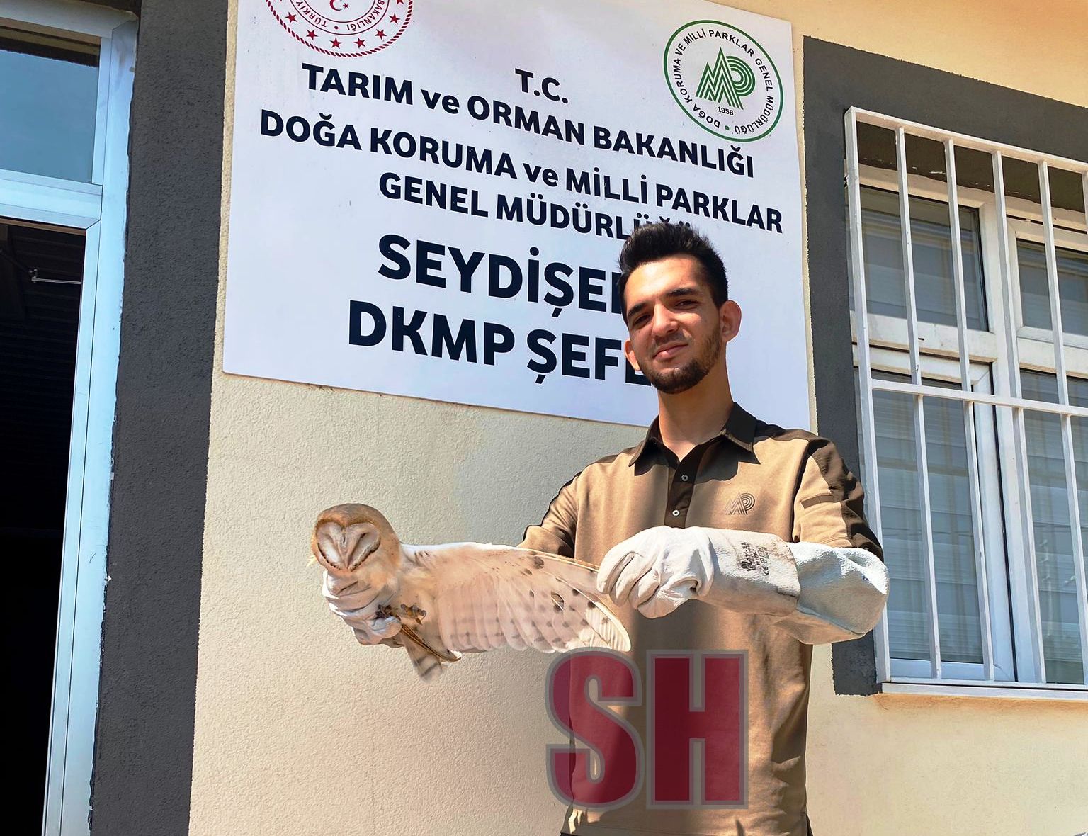 Seydişehirli çiftçi nadir görülen melek yüzlü kuşu yaralı halde buldu