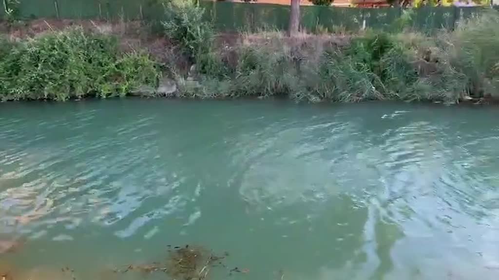 SICAKLAR ARTTI  BOGULMALAR ÇOĞALDI