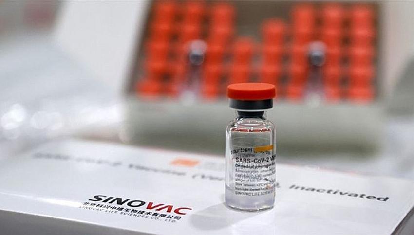 Sinovac aşısının gerçek dünya verileri açıklandı (Çalışma 120 bin kişi üzerine yapıldı)