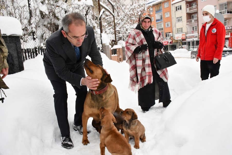 Sokakta annesini kaybeden köpek yavrularına kaymakam sahip çıktı