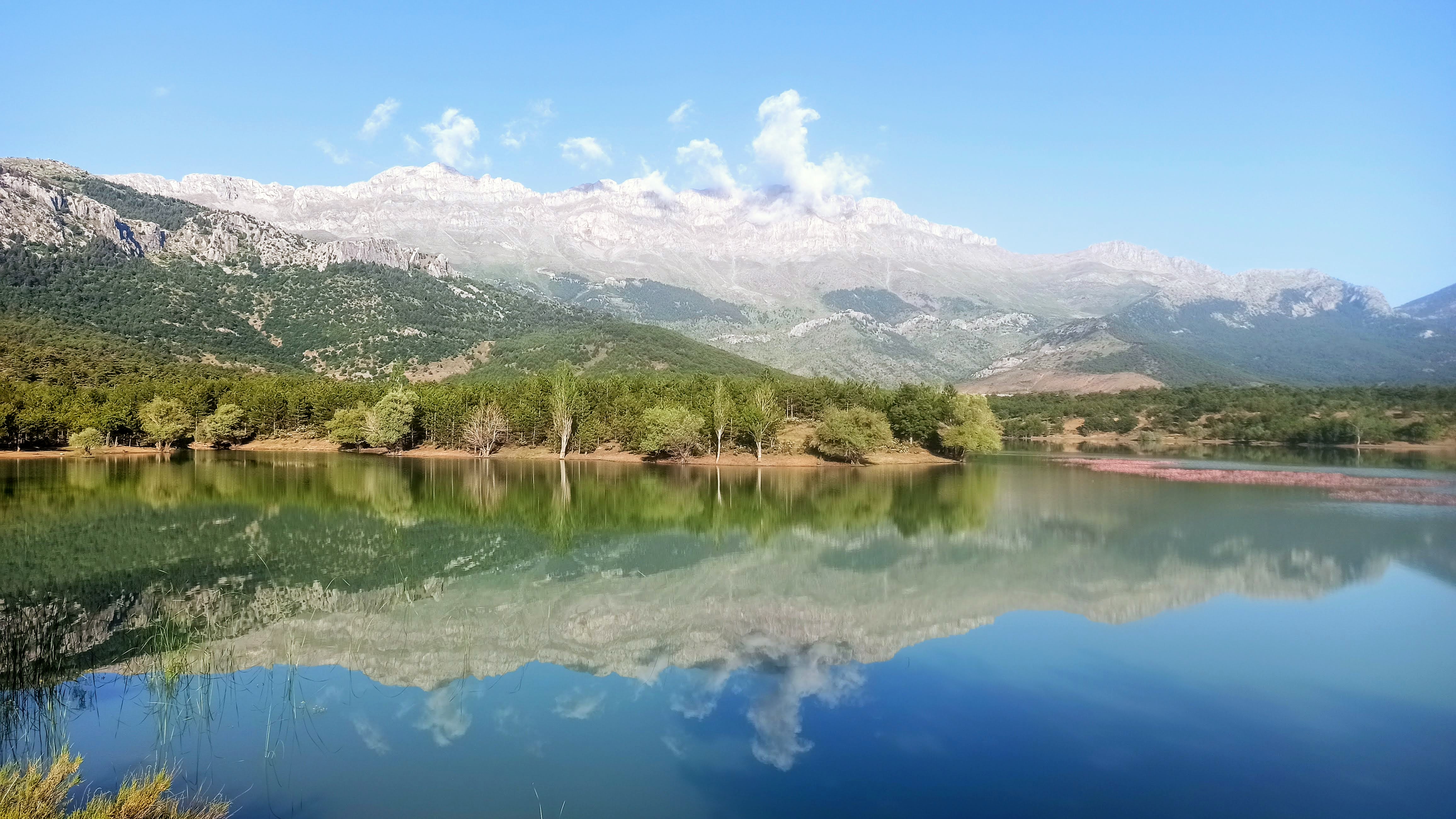 Seydişehirdeki  barajların doluluk oranı arttı!