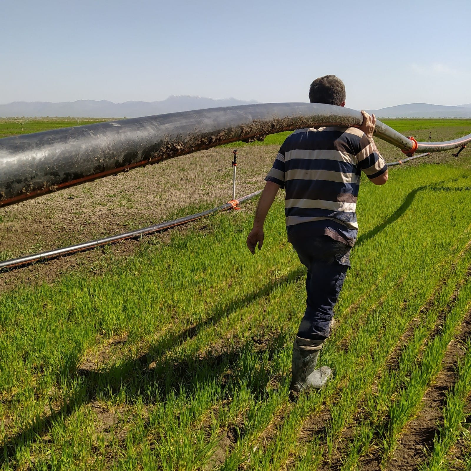 Suğla  Arazisinden  çapa  motorunu çaldılar