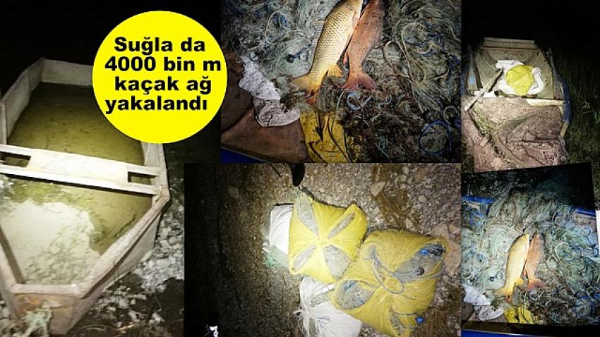 Suğla da 4000 bin metre  kaçak ağ yakalandı  