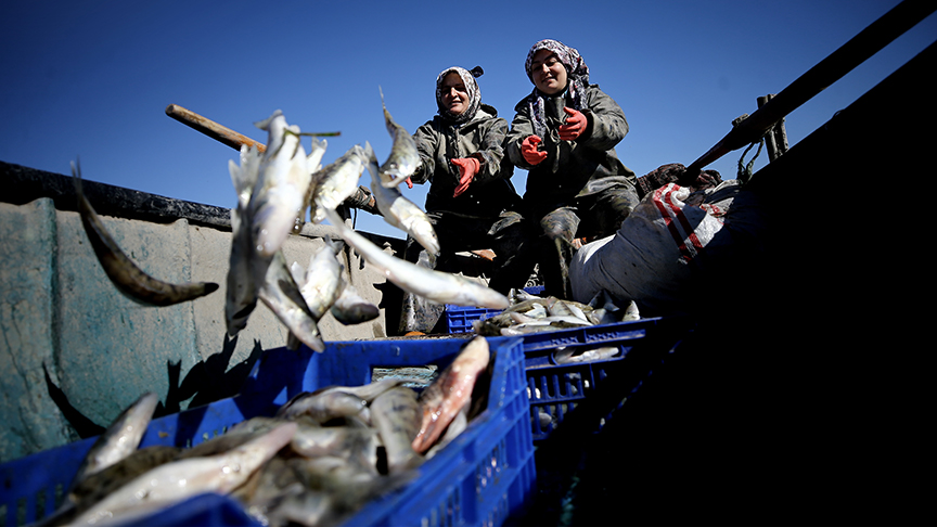 Suğla Gölü'nde yeni balık avı sezonu açıldı
