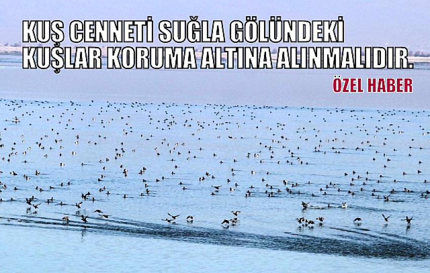 SUĞLA GÖLÜNDEKİ KUŞLAR KORUMA ALTINA ALINMALIDIR.