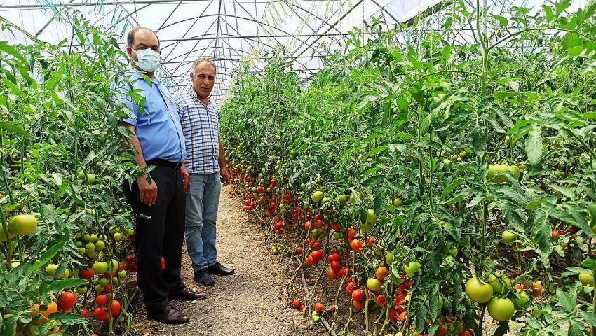 Suğla Tarım Meslek Lisesinde Hasat Zamanı