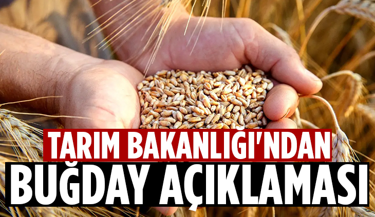 Tarım Bakanlığı'ndan son dakika buğday açıklaması