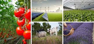 Tarım Yatırımlarına 1 Milyar Liradan Fazla Hibe Verilecek!