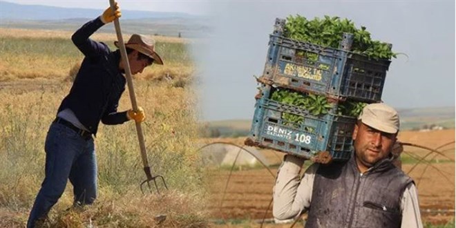 Tarımda 'İngiliz modeli' hazırlığı: Sigorta zorunlu, gelir garanti