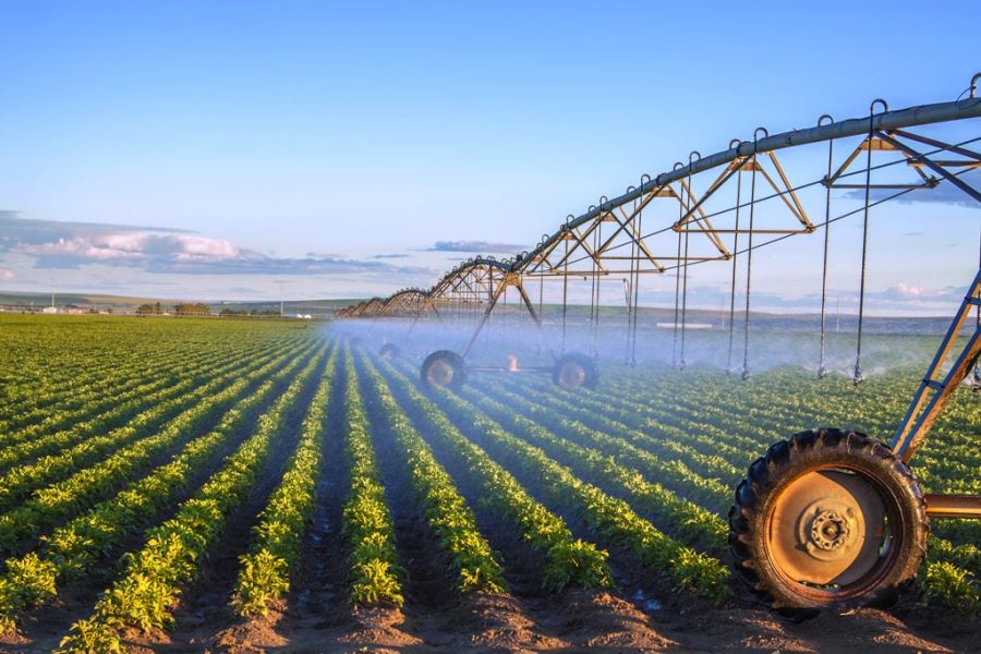 Tarımda planlı üretim dönemi