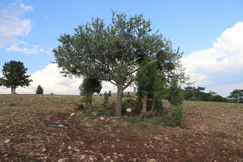Tarlada çalışanların üzerine yıldırım düştü: 2'si ağır 6 yaralı