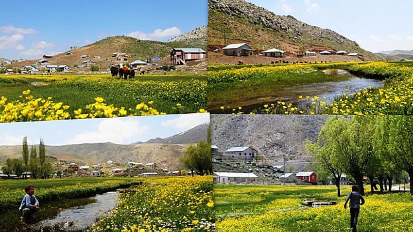 Toros Dağları'ndaki yaylalar, bahar aylarında bir başka güzel