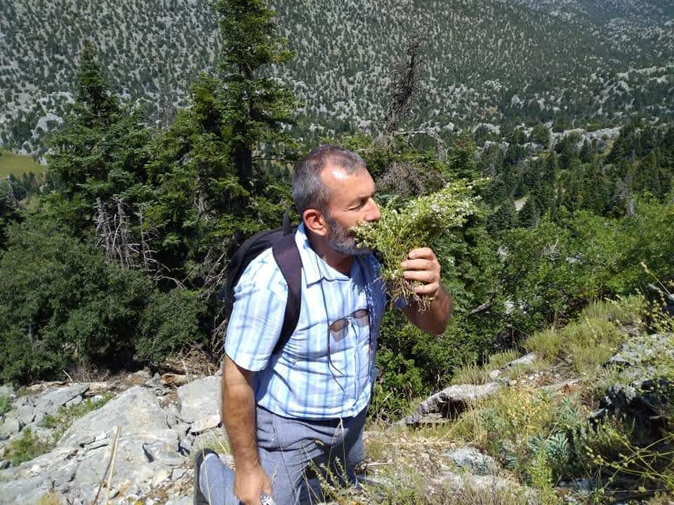 Toros Dağları'nın kekiği her derde deva