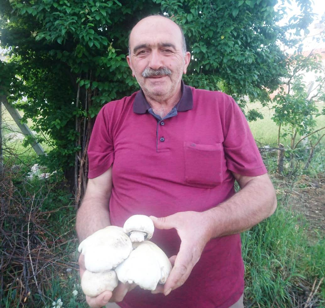 Toroslar'da "mor mantar" toplama zamanı