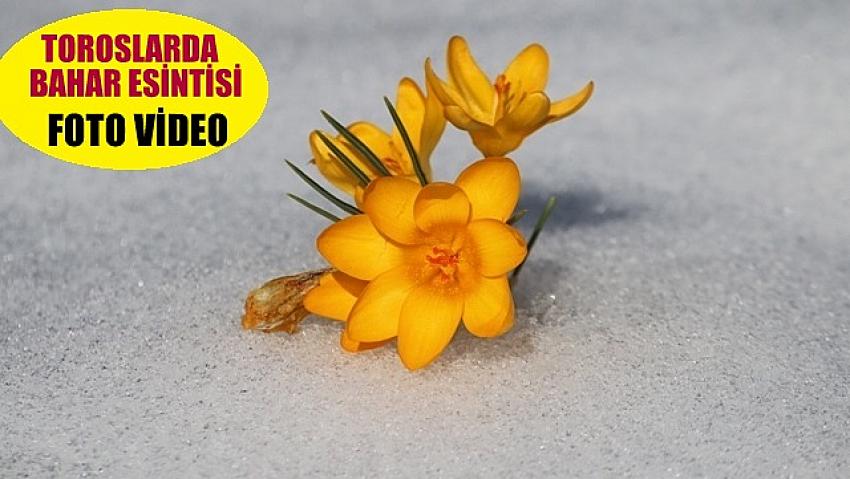 Toroslarda  Bahara  hazırlanan Yaylalar Fotoğraf tutkunlarının gözdesi FOTOHABER