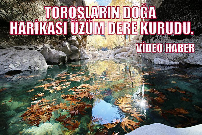 TOROSLARIN DOĞA HARİKASI ÜZÜM DERE KURUDU.