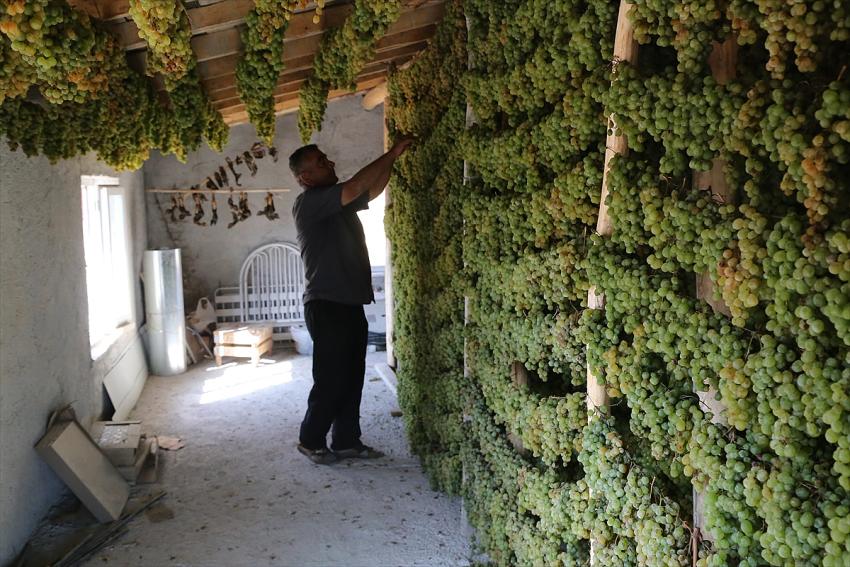 Torosların "gök üzümü" tavan arasında kurutularak sofralara geliyor