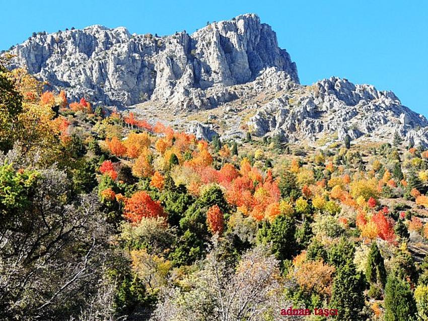 Torosların incisi Küpe Dağı’nda sonbahar renkliliği  
