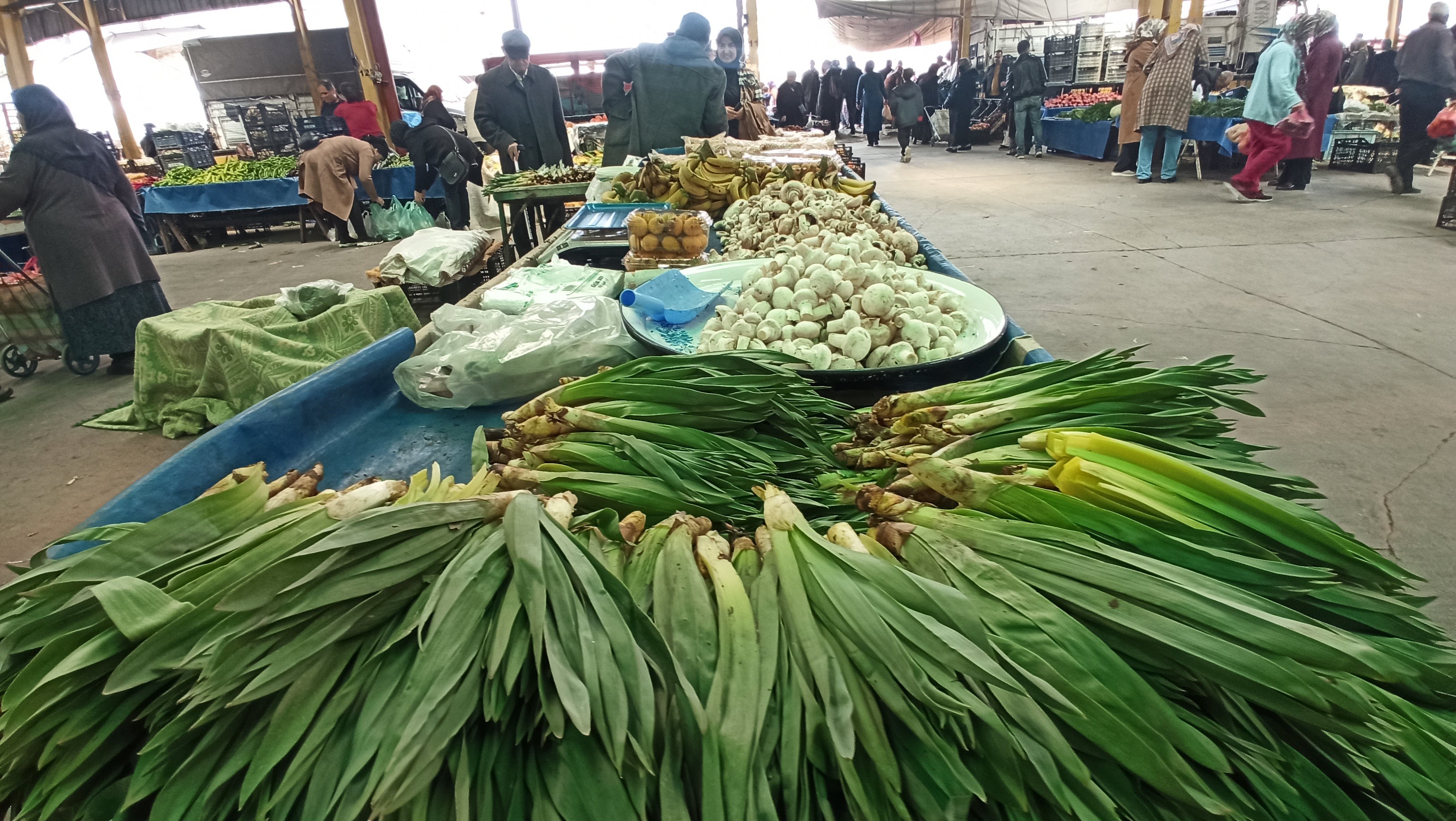 Torosların şifalı otu çiriş  Seydişehir pazarına indi