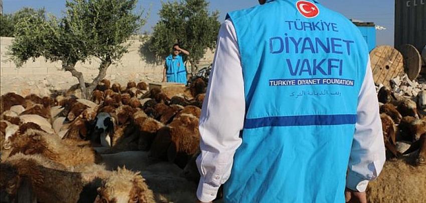  Türkiye Diyanet Vakfı, tüm illerde kurban bağış standı açacak