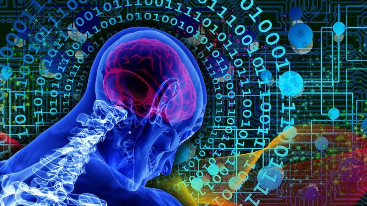 Türkiye'nin en zeki şehirleri belli oldu!