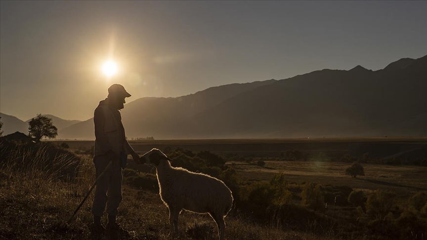 Türkiye'nin nüfusu artarken kırsalda nüfus azalıyor
