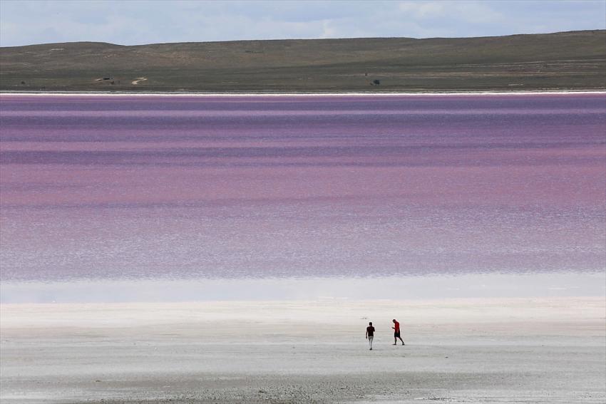  Tuz Gölü'nde ilkbahar güzelliği