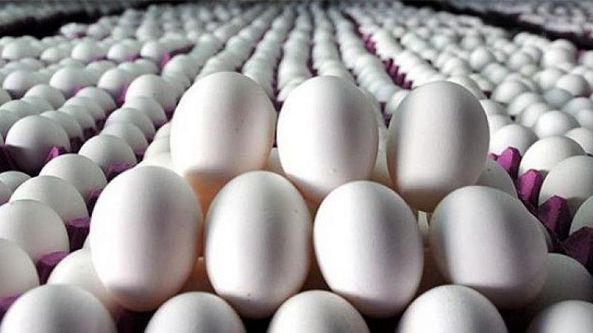 Vatandaşlar tepkili! Yumurta fiyatları neden arttı?