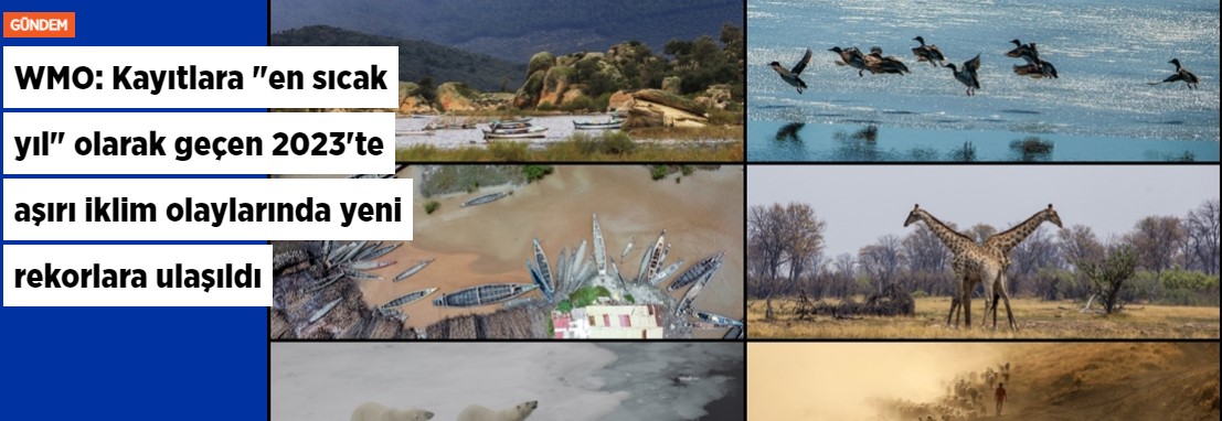 WMO: Kayıtlara "en sıcak yıl" olarak geçen 2023'te aşırı iklim olaylarında yeni rekorlara ulaşıldı