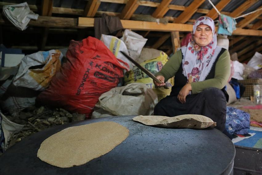  Yaban armutları geleneksel yöntemle yufka ekmek oluyor