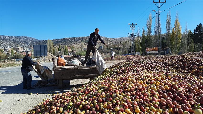 Yağışların azlığı nedeniyle büyümeyen "döküntü elmalar" meyve suyu oluyor