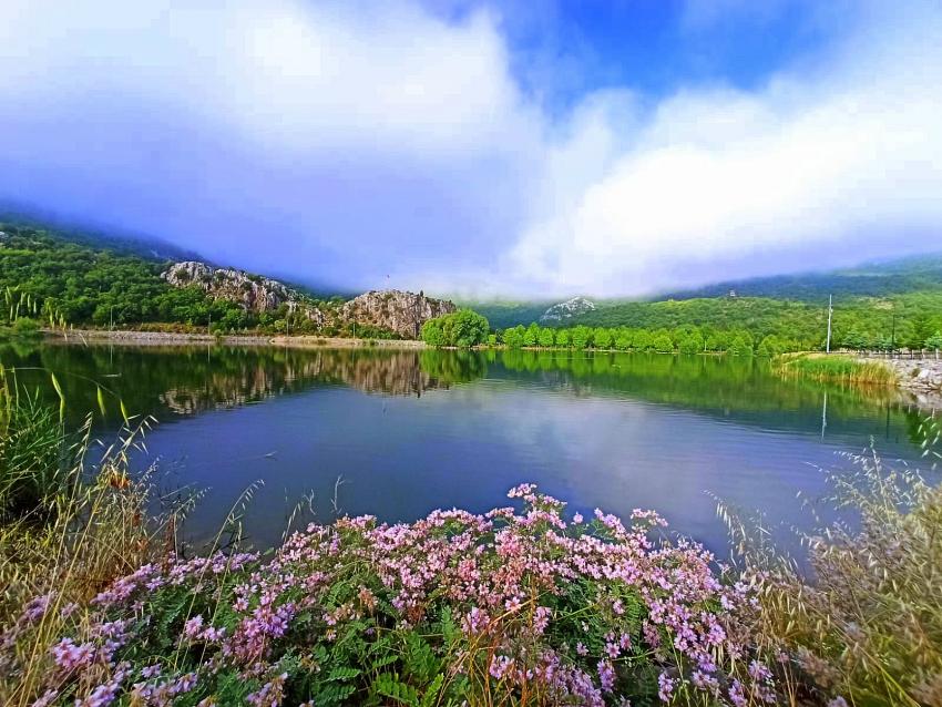 Yağmurdan sonra Kuğulu Parkta Muhteşem  görüntü FOTOHABER