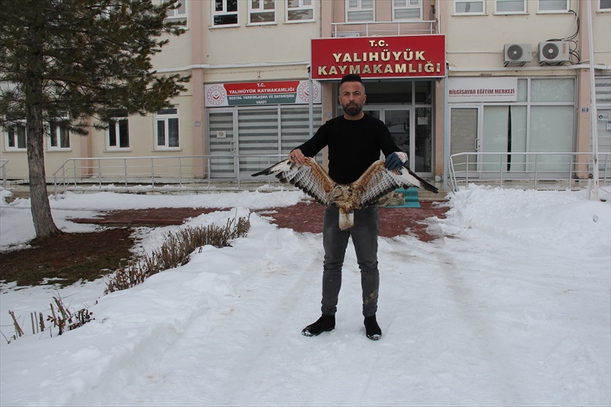 Yalıhüyük'te bulunan yaralı şahin tedavi edildi