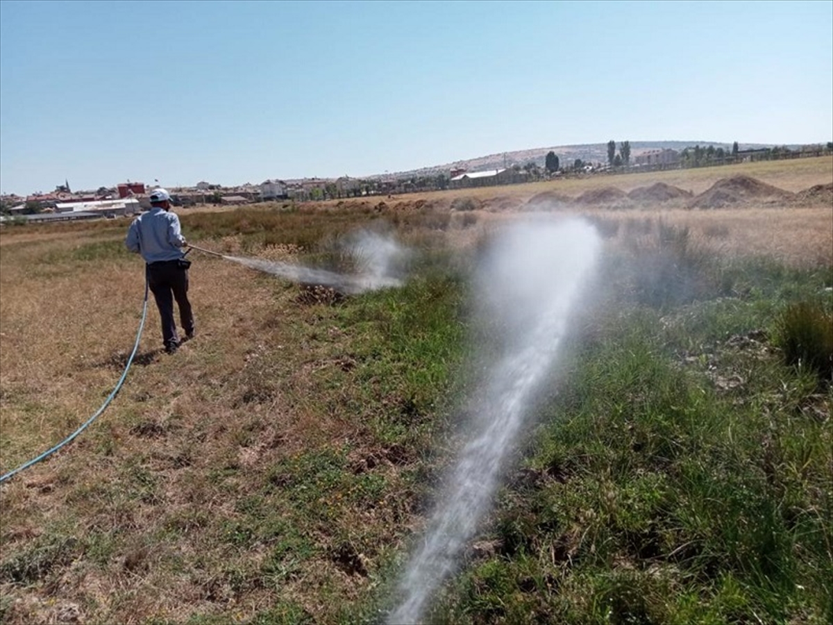 Yalıhüyük'te sivrisinek ve haşere ile mücadele çalışmaları devam ediyor