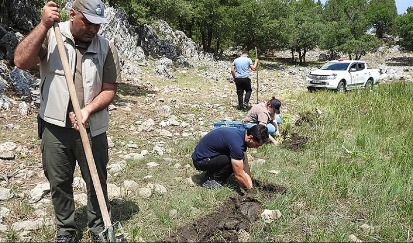 Yasa dışı göl soğanı sökümüne 80 bin 465 TL ceza