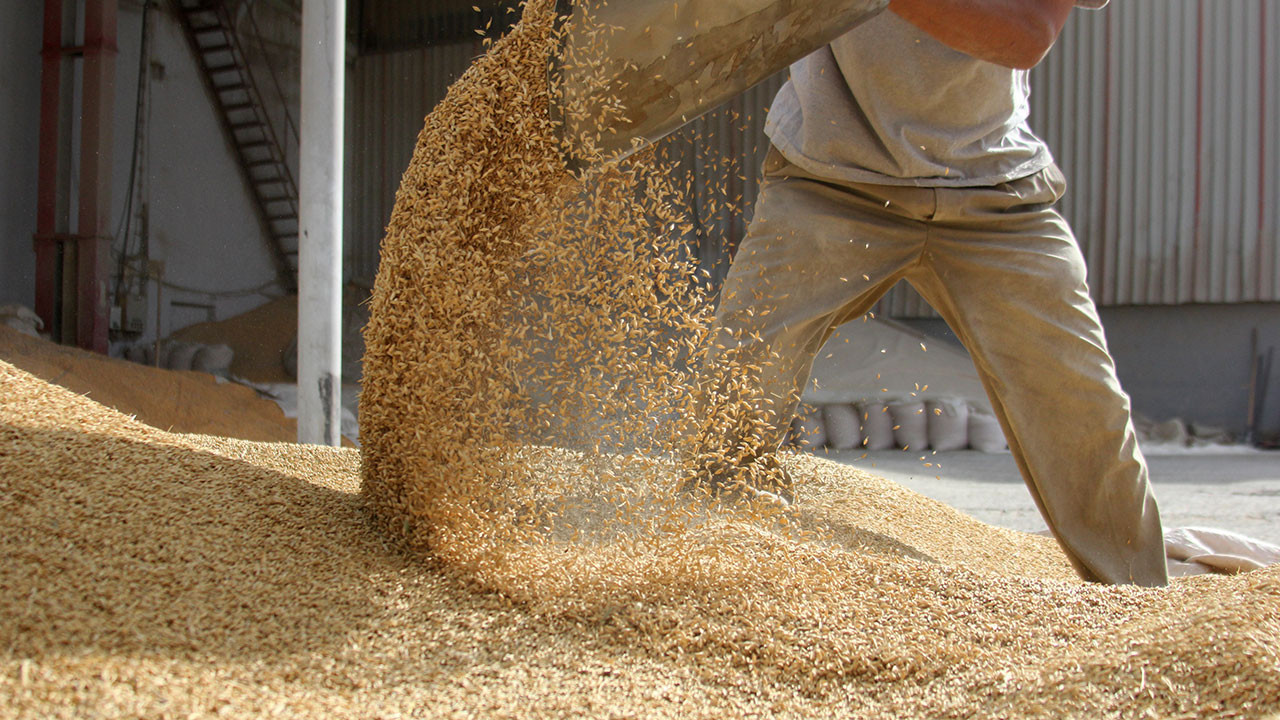 Yem üreticilerinden buğday, mısır ve arpadaki gümrük vergisinin düşürülmesi talebi