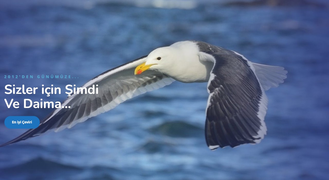 Yeminli Tercüman Ücretleri 2024