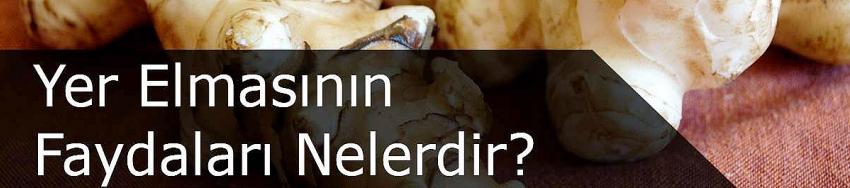 Yer elmasının faydaları nelerdir? Yer elması neye iyi gelir?